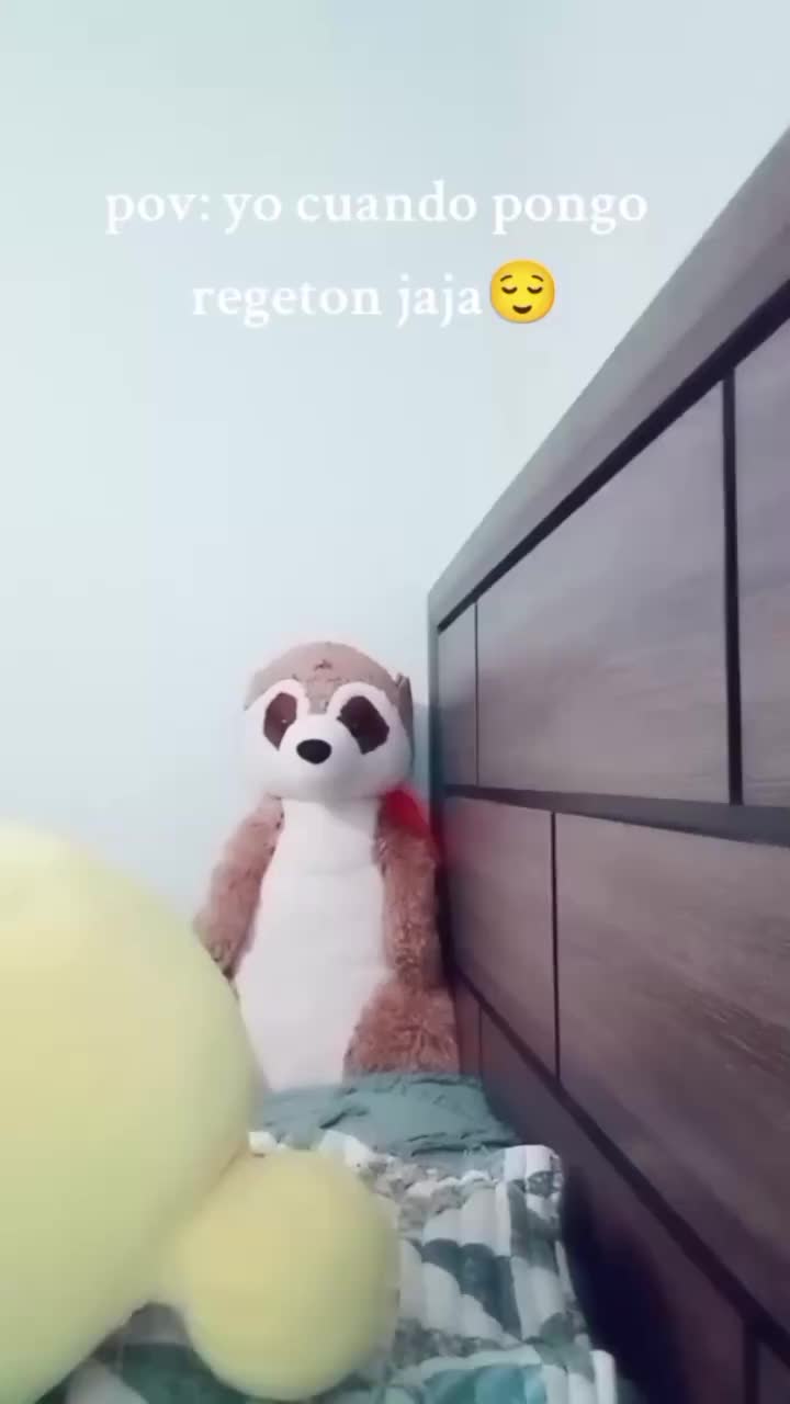 @Anyeli Maldonado