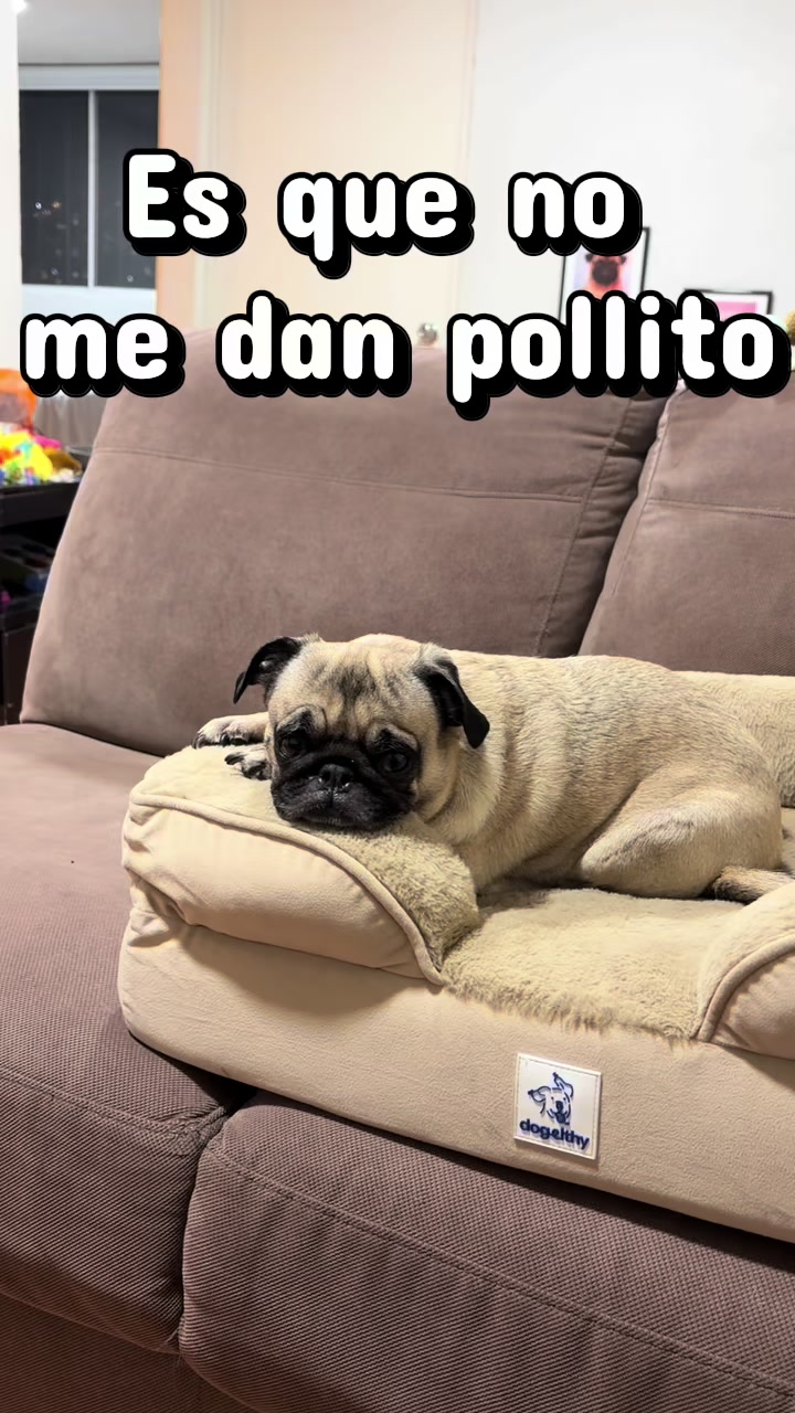 @Emma la Pug