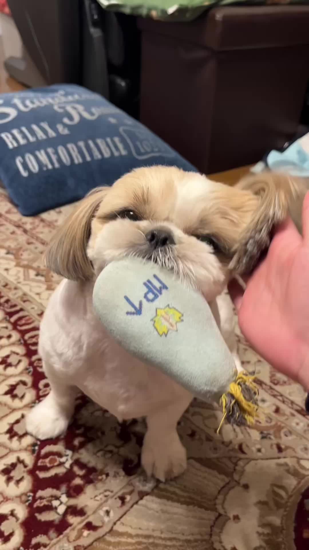 @︎︎