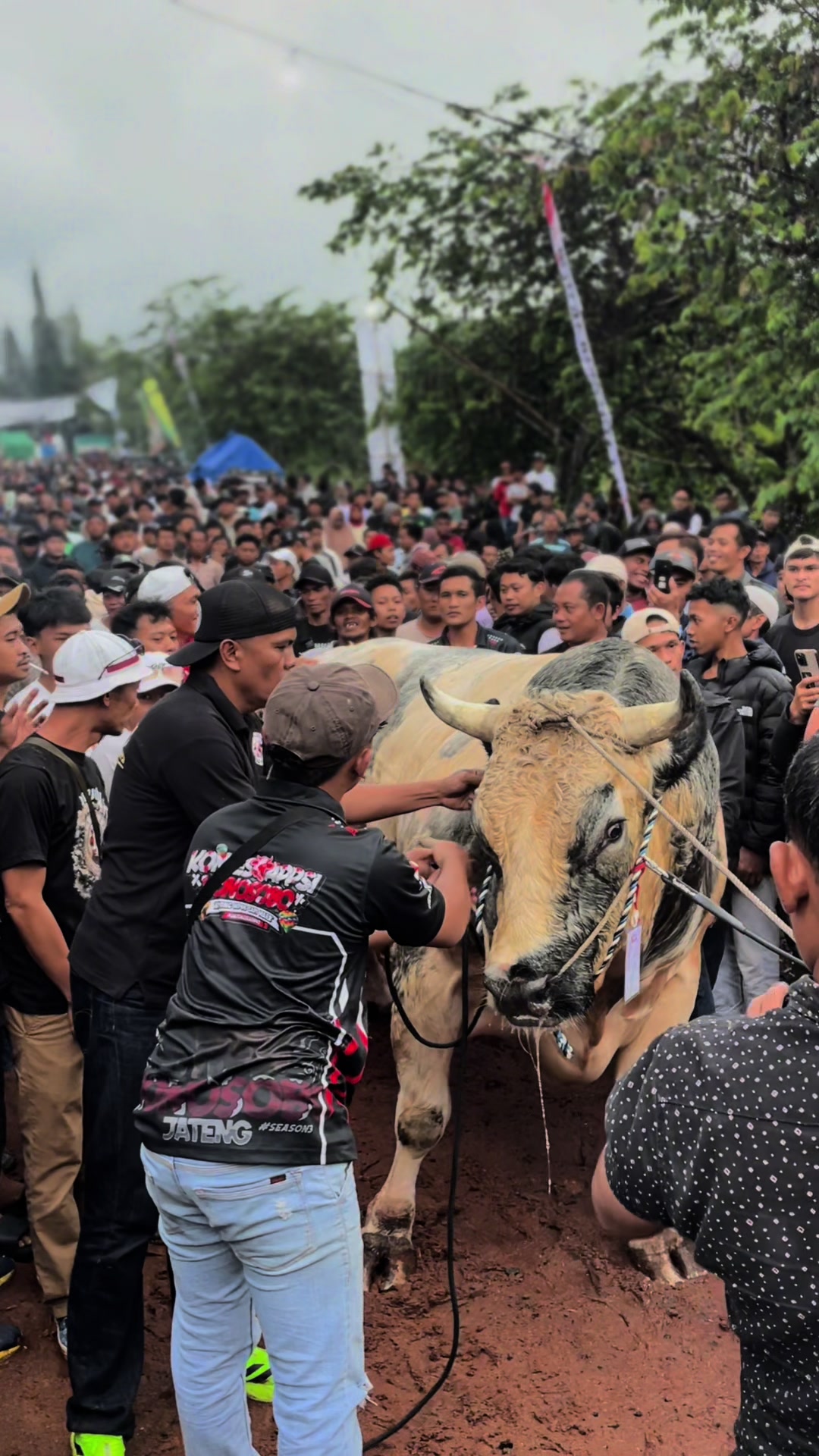 @SuprahFarmBanjarnegara