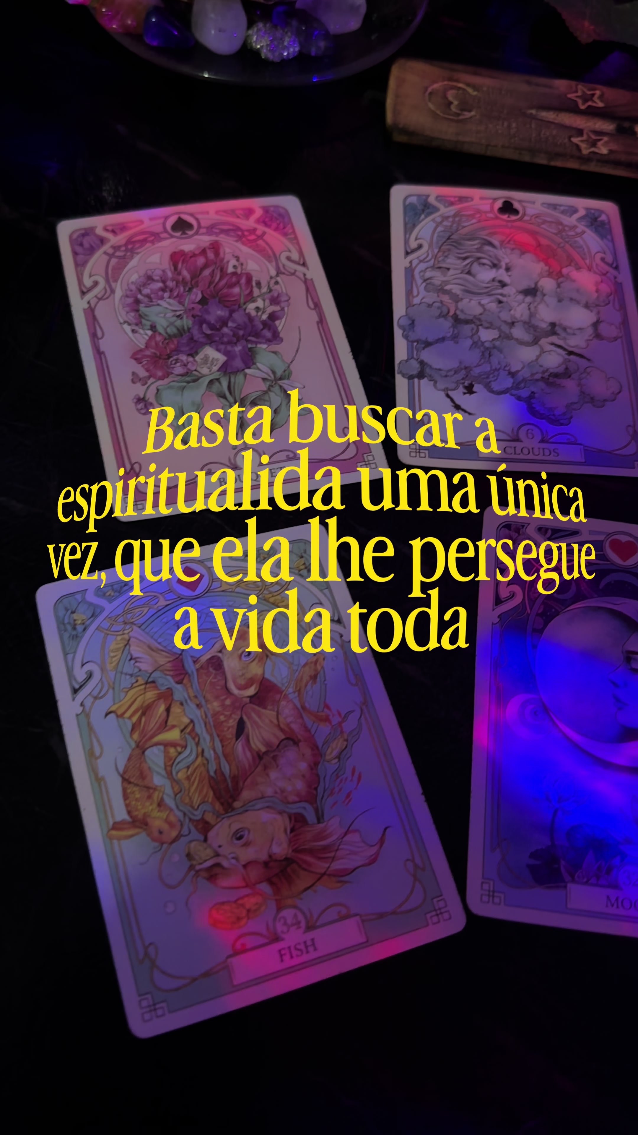 @niiel | cartomante 🔮🌞