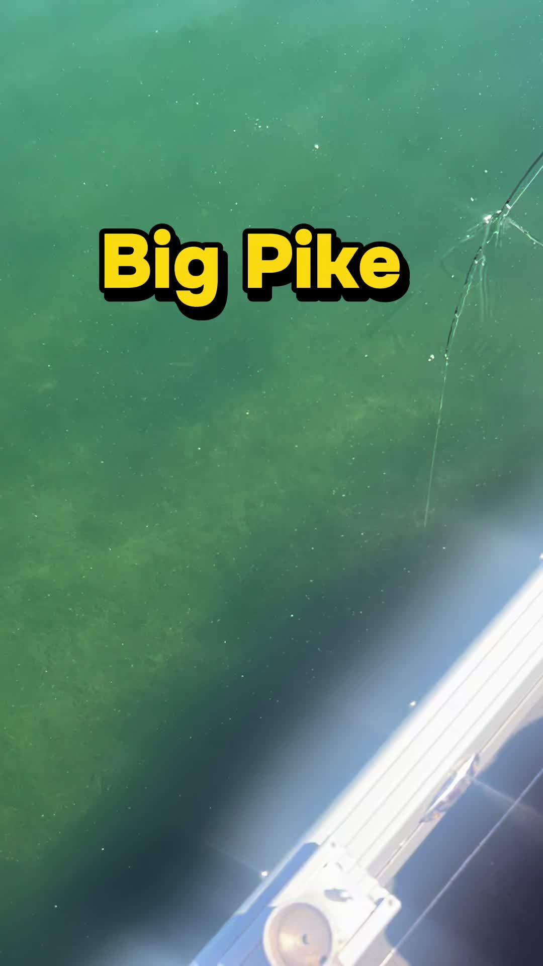 @ChrisFishOutdoors