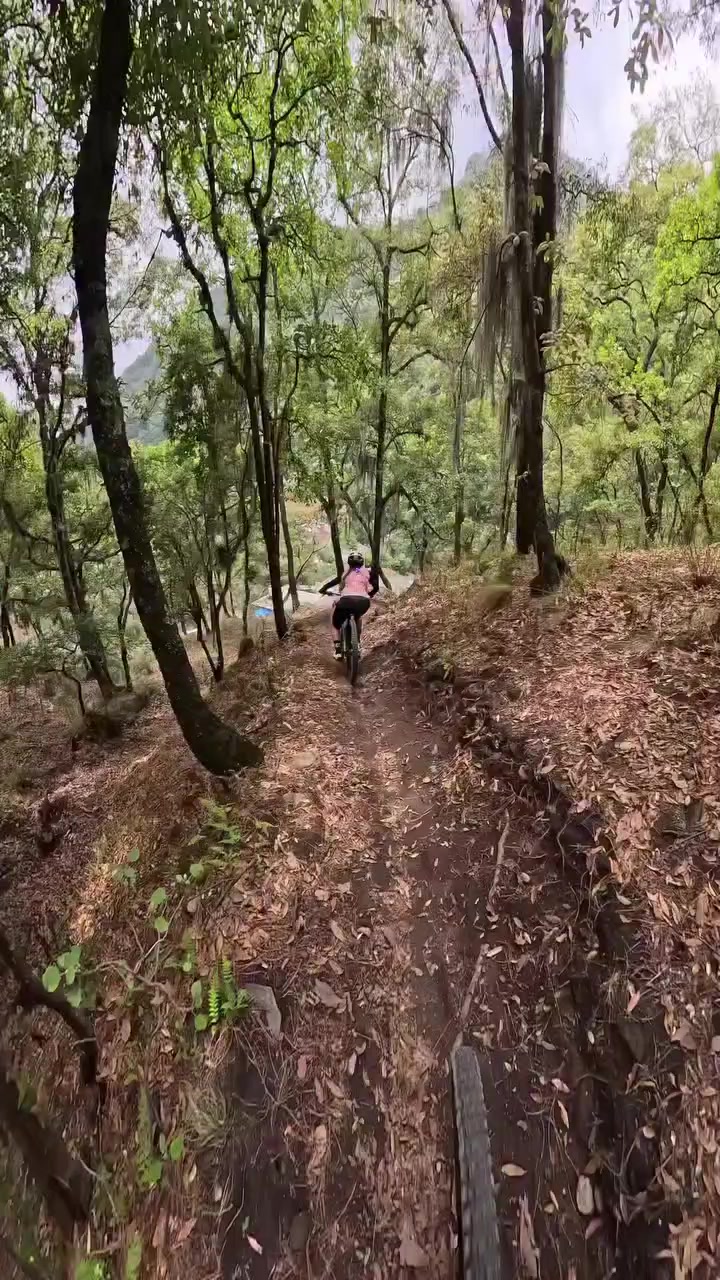 @Edmundo Ramírez