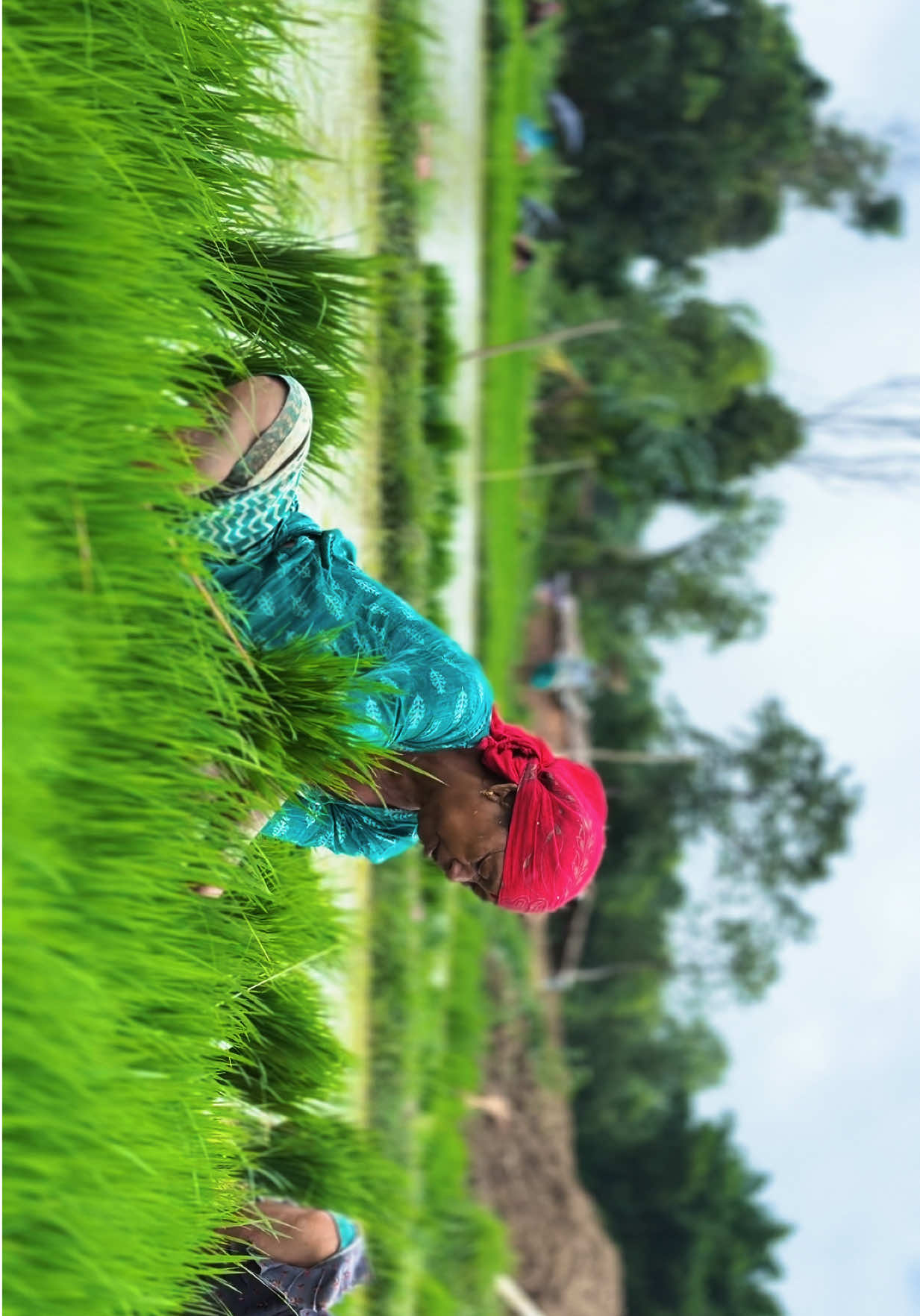 @Karan Rajbanshi