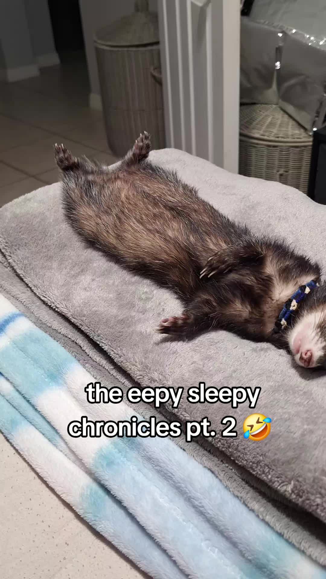 @Emily Falero