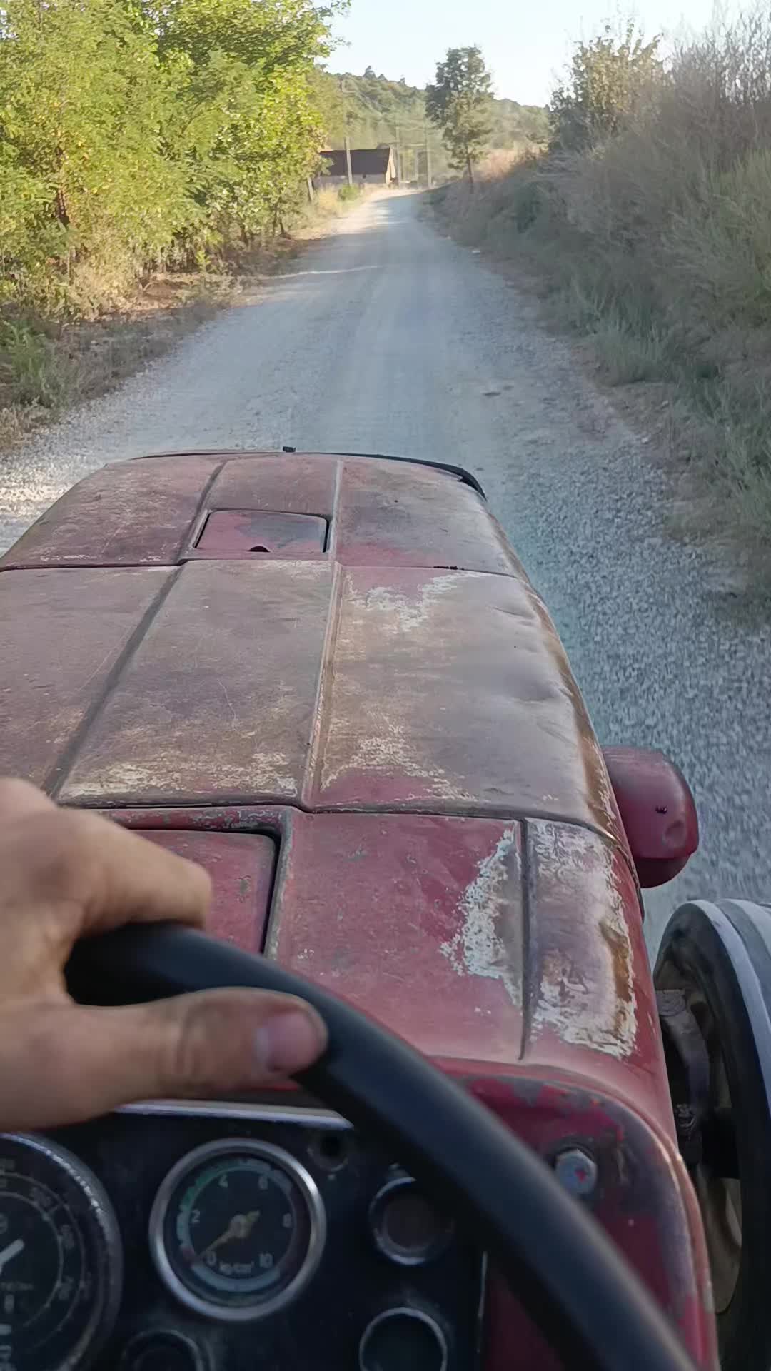 @Mićko😜