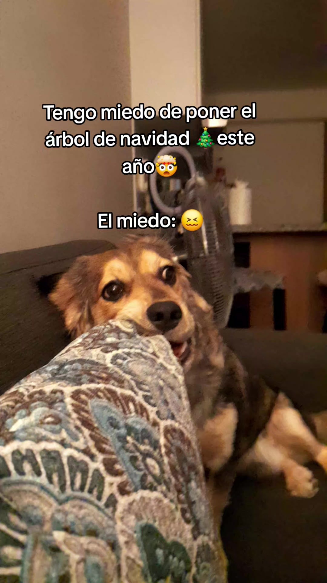 @Una leo♌️