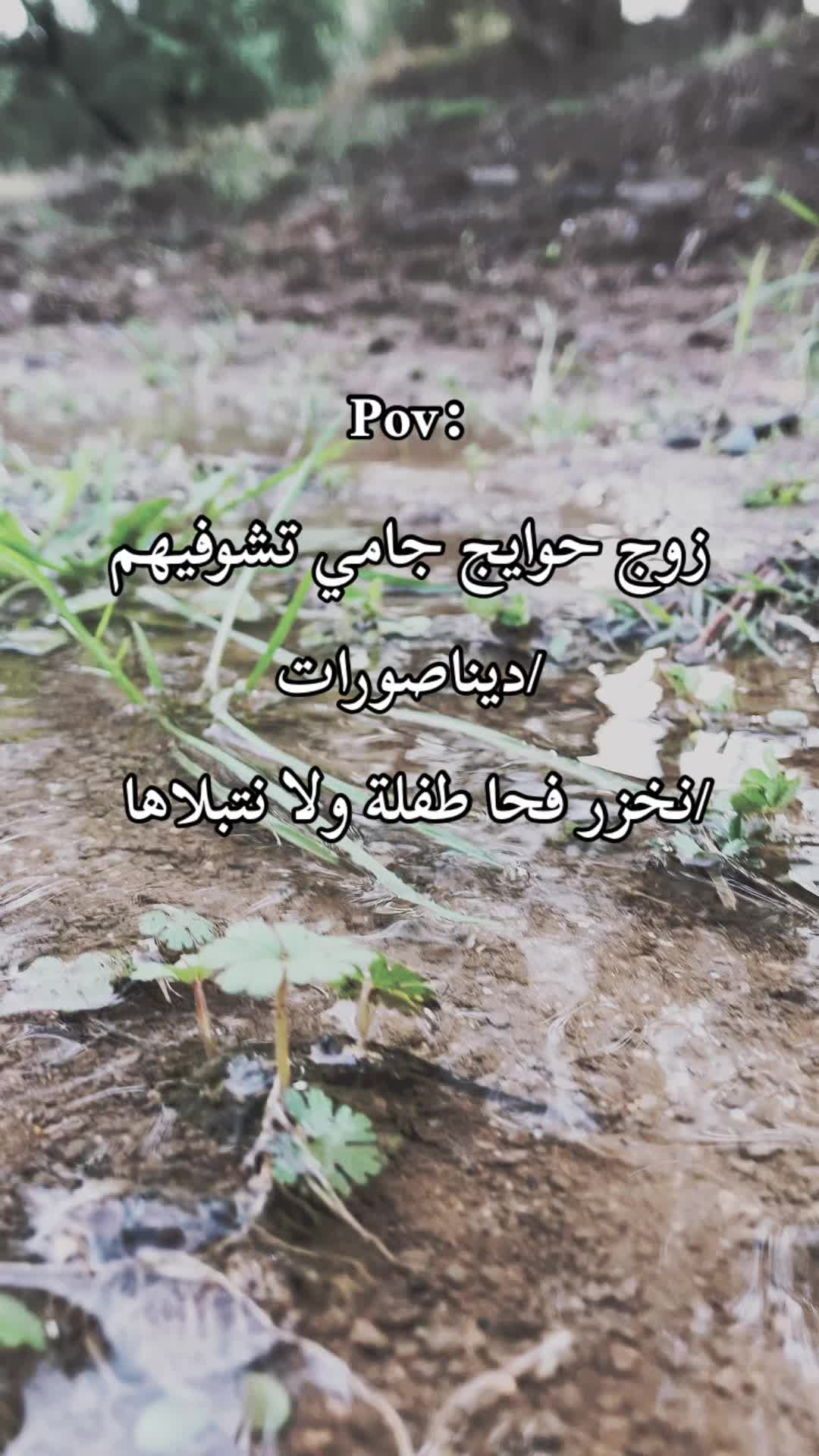 @Mouutaz Mouutaz