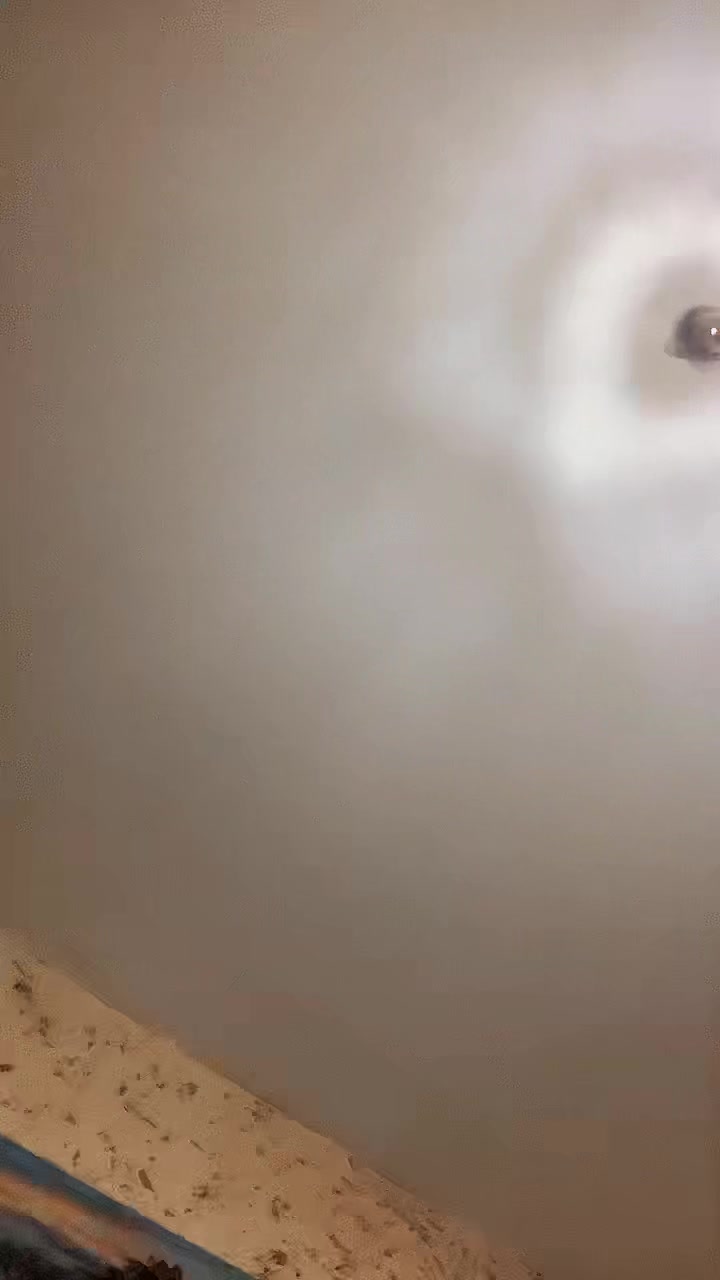 @Maya Danone