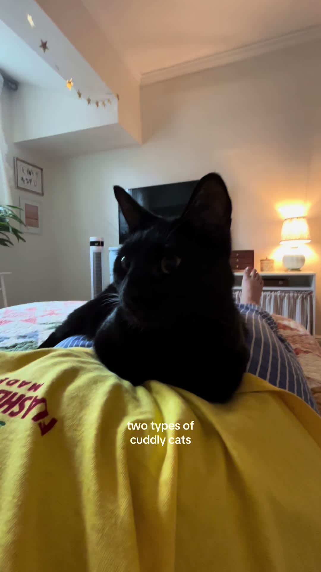@amelia 💌