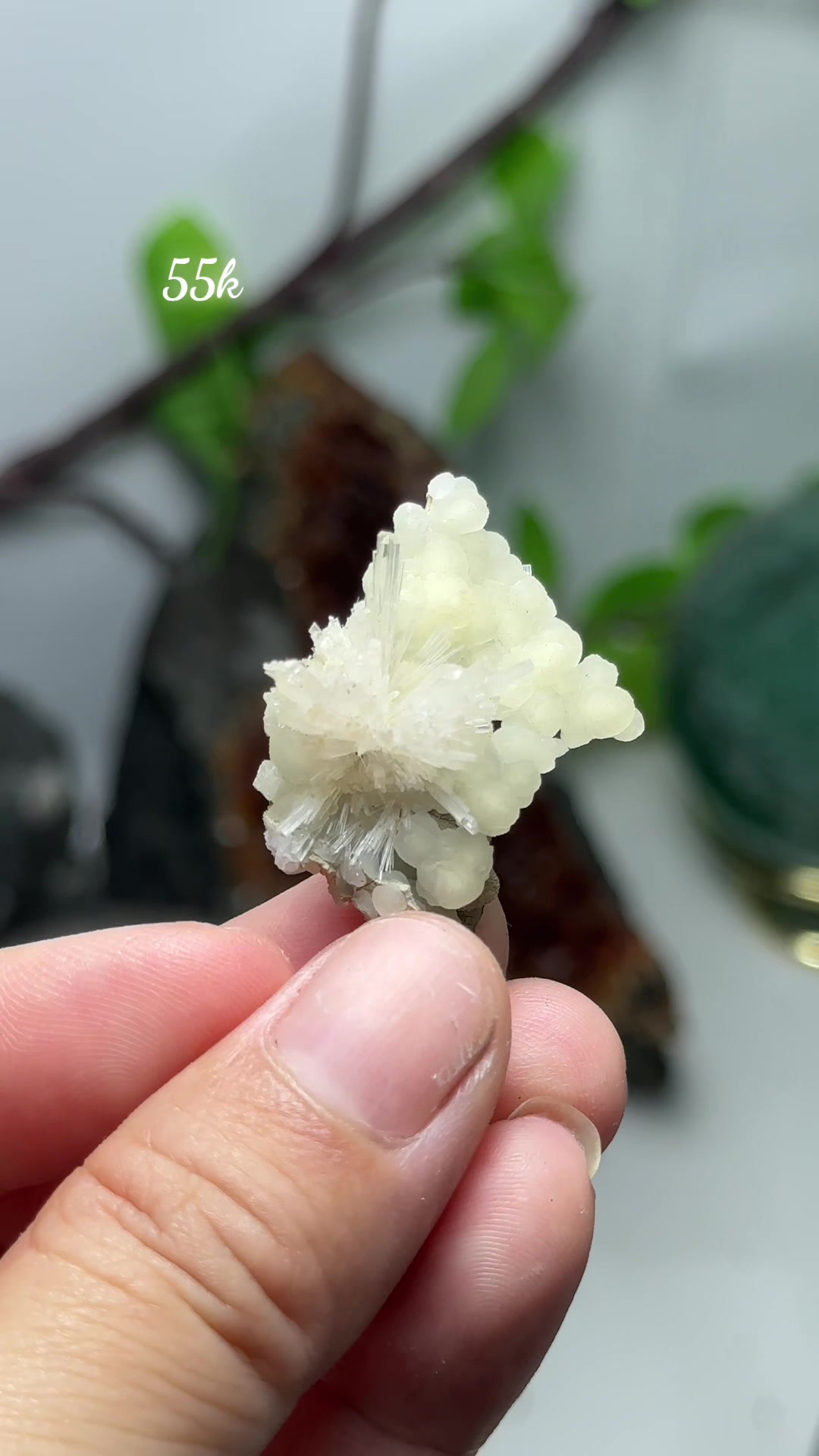 @Thích Đá Thô Nhưng Thật 🌿