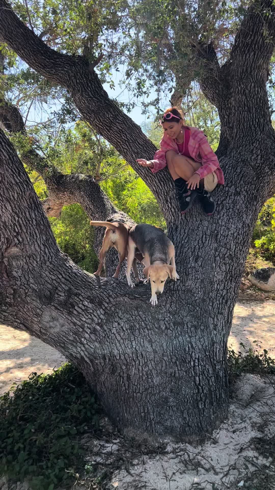 @cherrycinna_