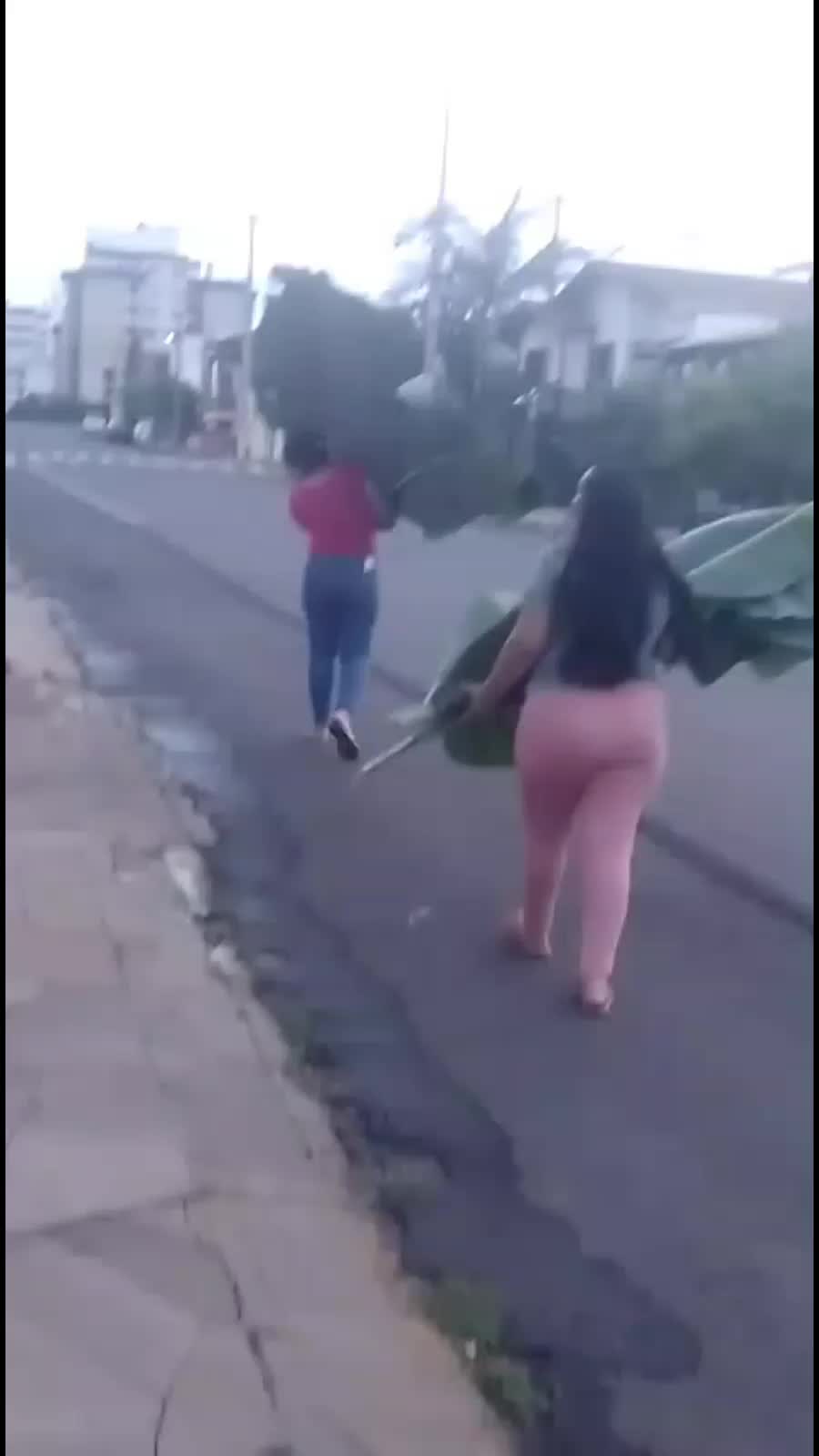 @Evelyn
