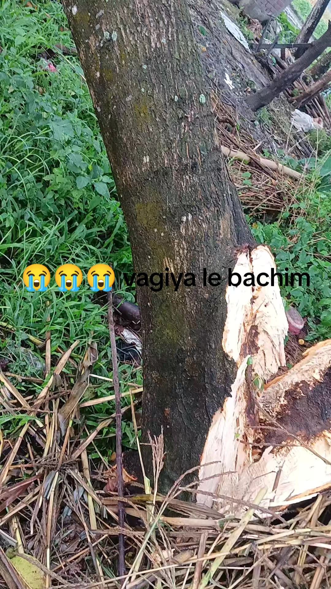 @Mamata