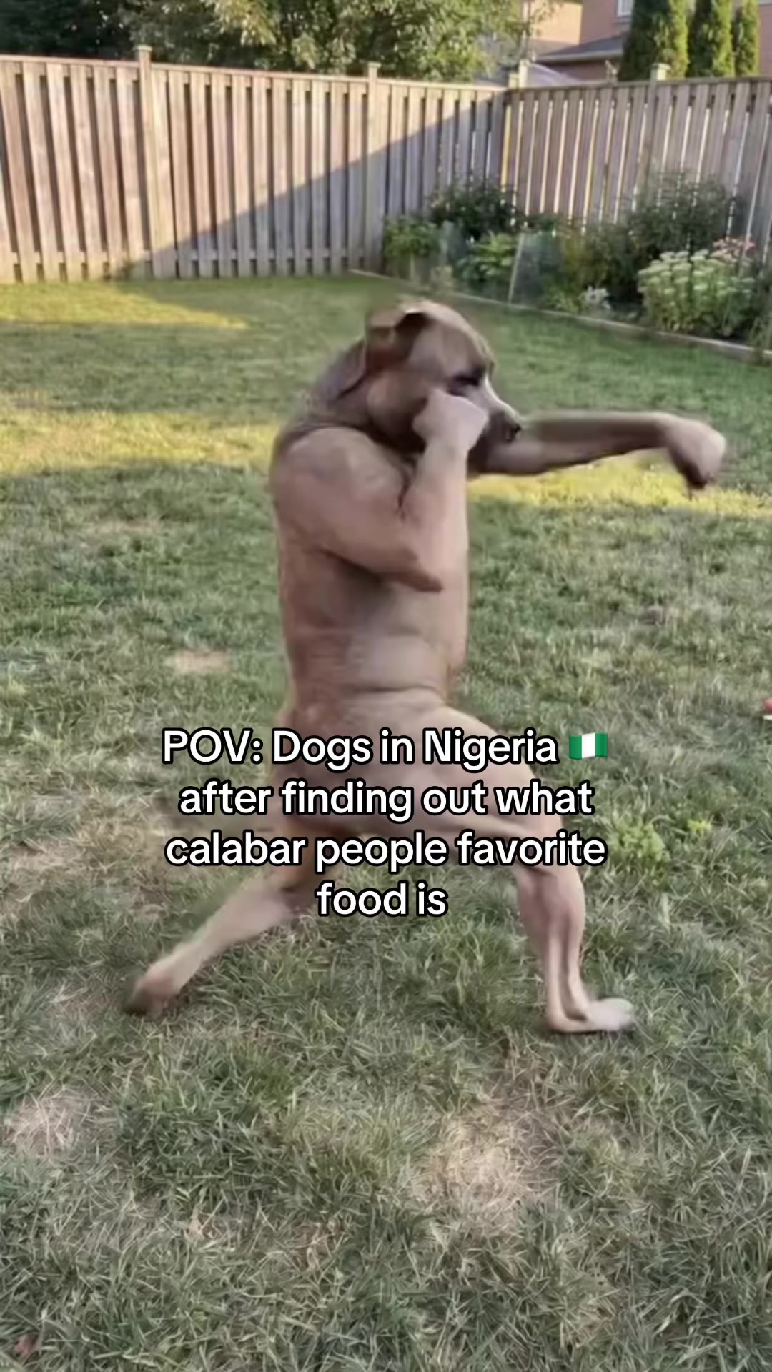 @Op11