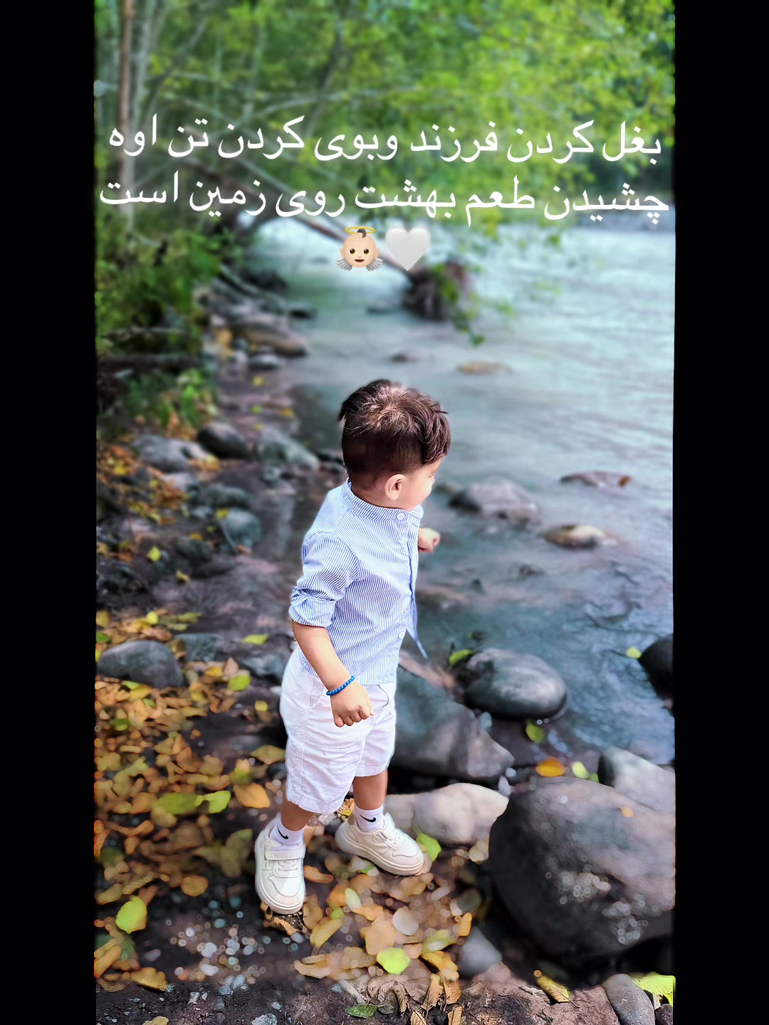 @🦋💫 αиgєℓ _ℓιfє ❤️🥀