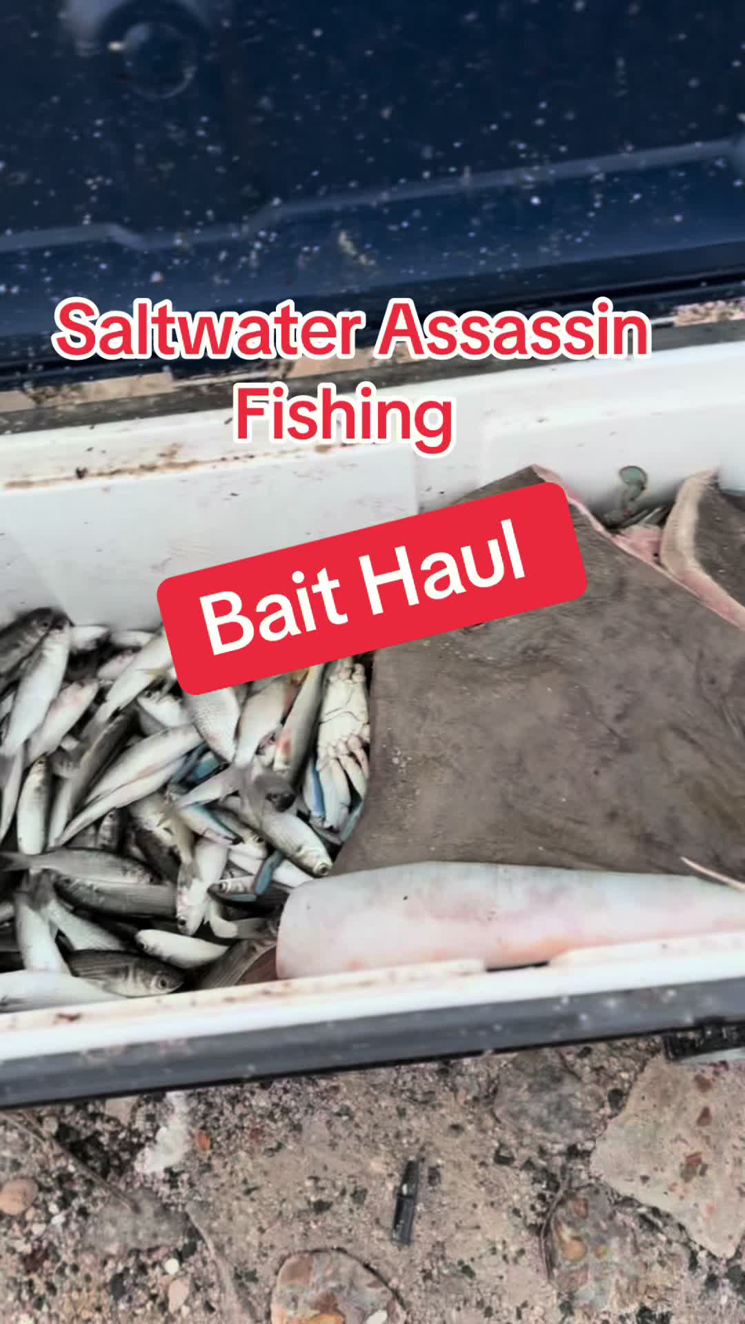@Saltwaterassassin22