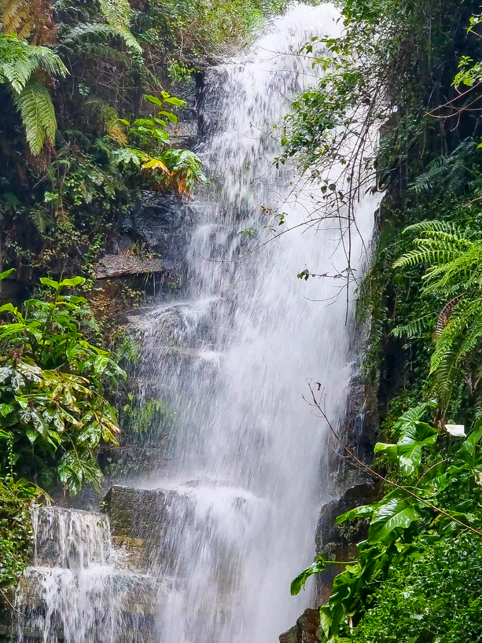 @Nature Love Australia 🌴