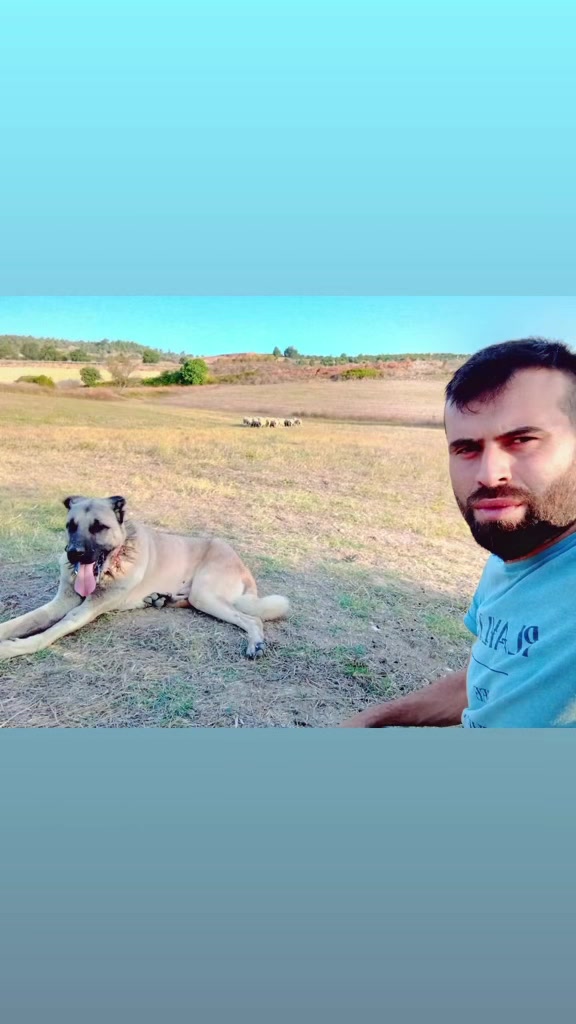 @👑 HERK&Uuml;LL👑