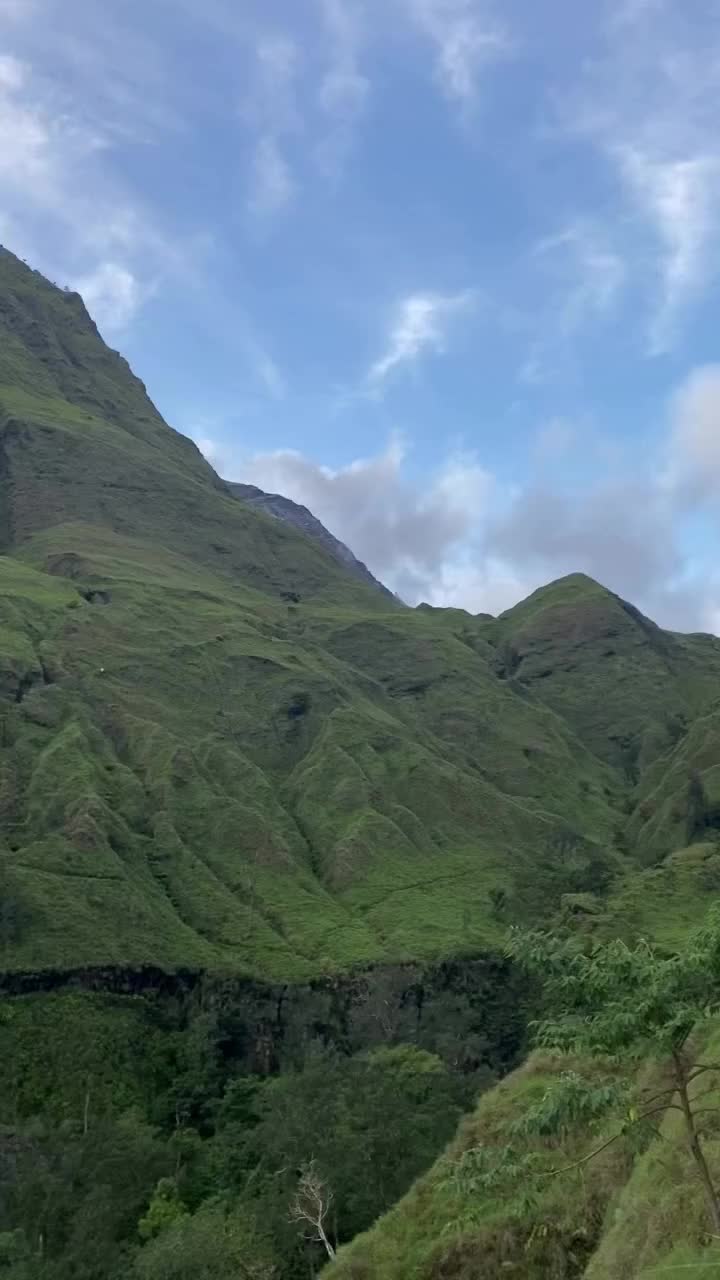 @RINJANI NATURE