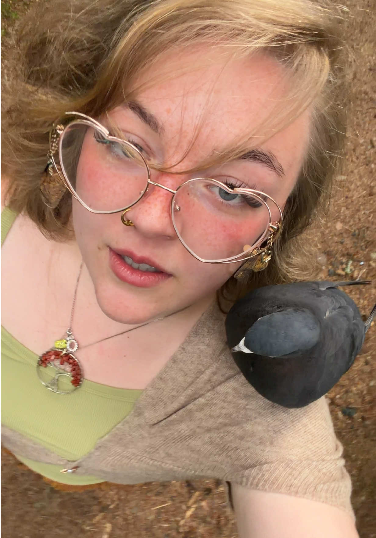 @Ava&rsquo;s Palomas 🕊️
