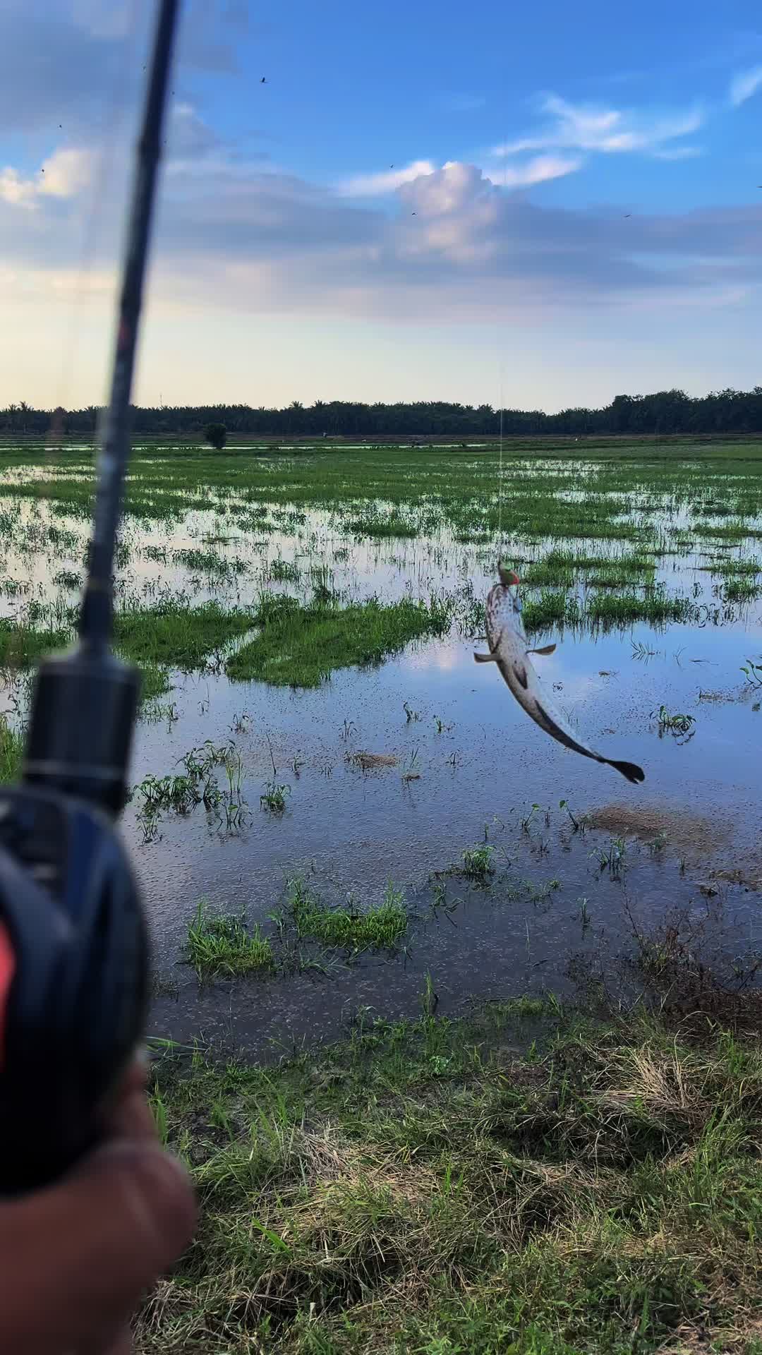 @muaz🎣