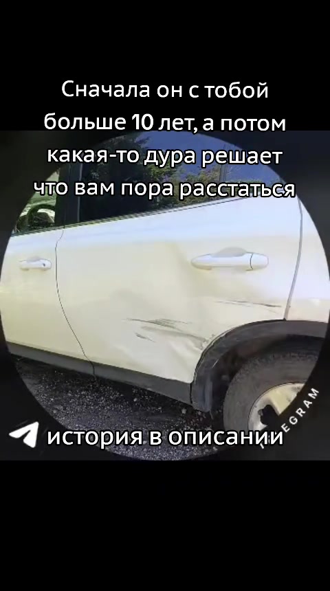 @tgc: Софи на связи 📞