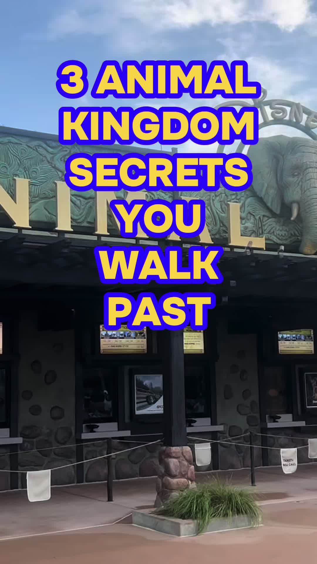 @lifetimeofmagic