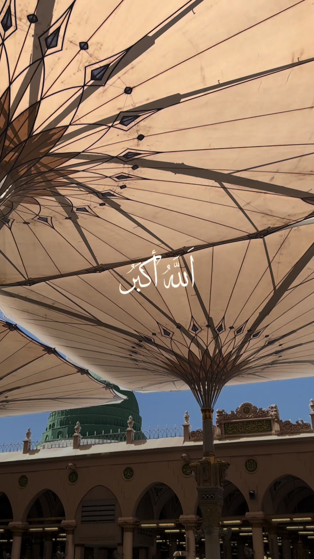 @متطوعة | المدينة المنورة 🕌