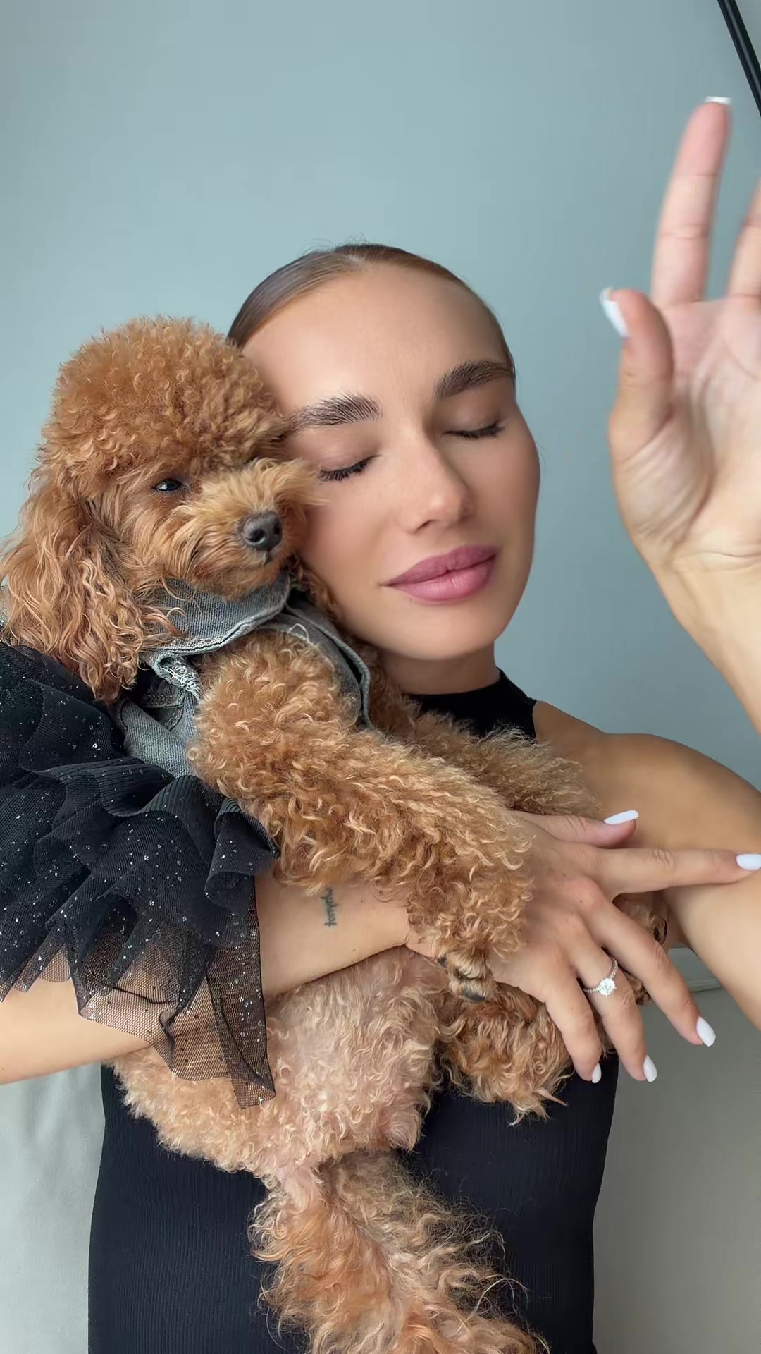 @beatrice_poodle