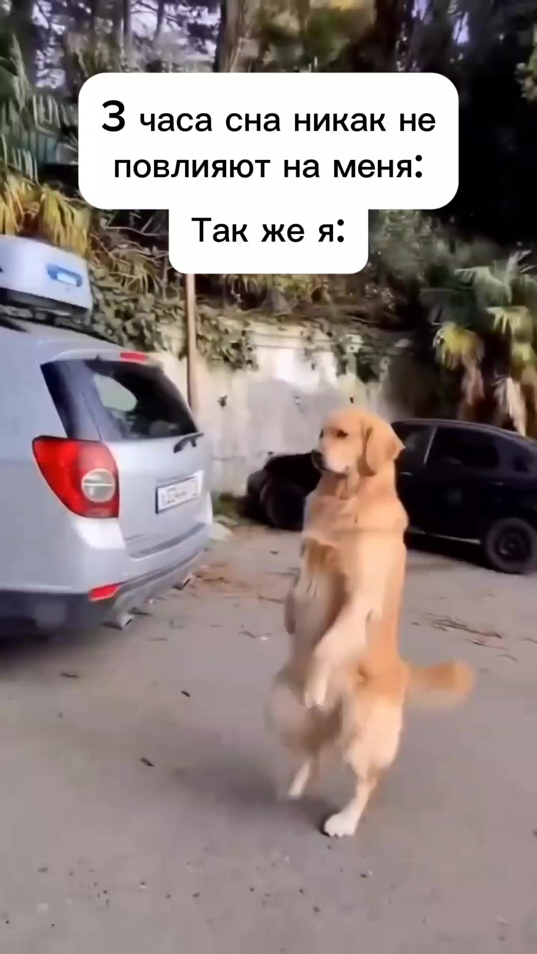 @DashaBaks