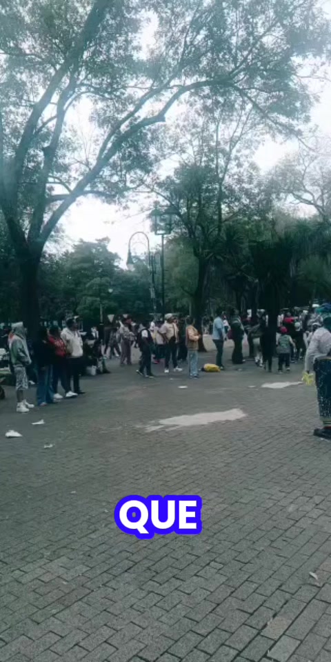 @Andy puchungazo