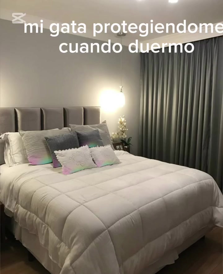 @noobsito_(user24k8l96m72k401)