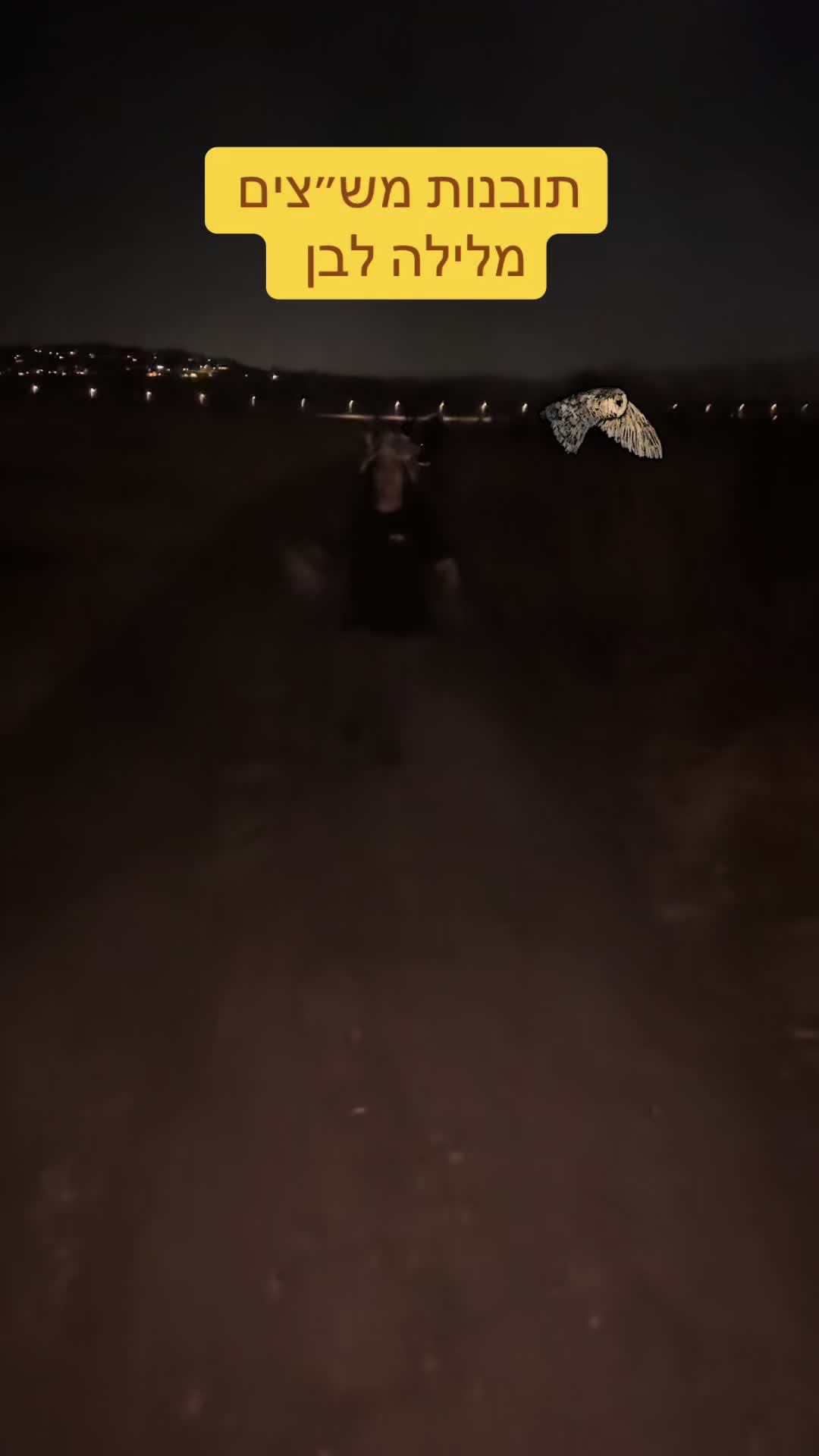 @המורה לשל"ח - הרצאות חינוך