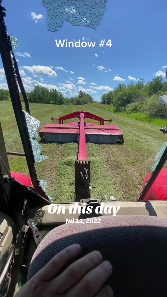 @ckfarmz