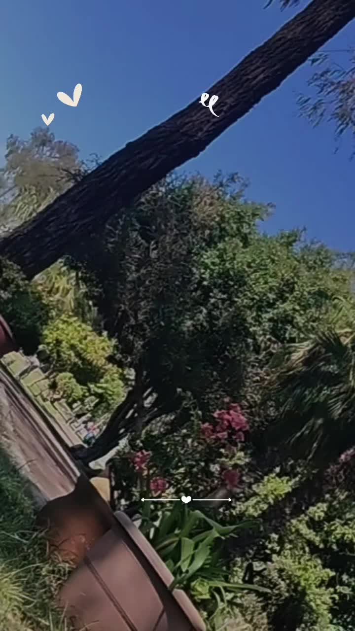 @𝓛𝓾𝓬𝔂𝓵𝓸𝓿𝓮🪷🪬🧿