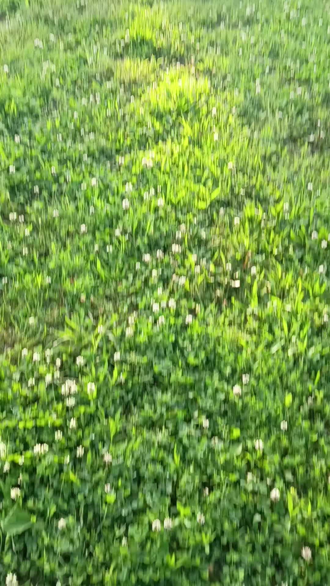 @Cabrera 🦭🍒