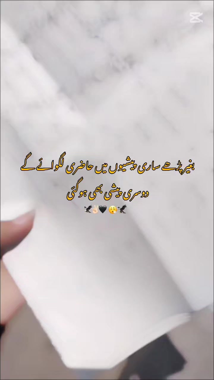 @👀🖤عـــشـــقِ یـــارم💗🌷