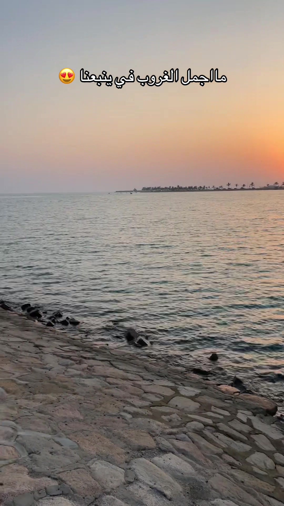 @روبي ينبع / مرخصة اعلامياًً