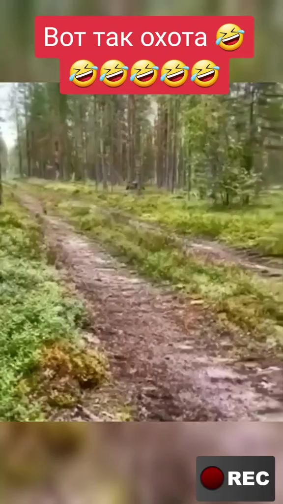 @Лариса
