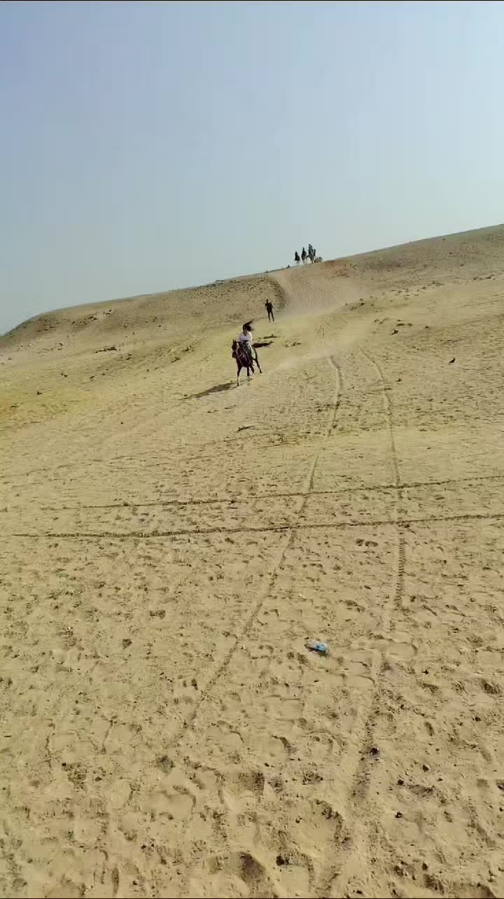 @مصعب شلش