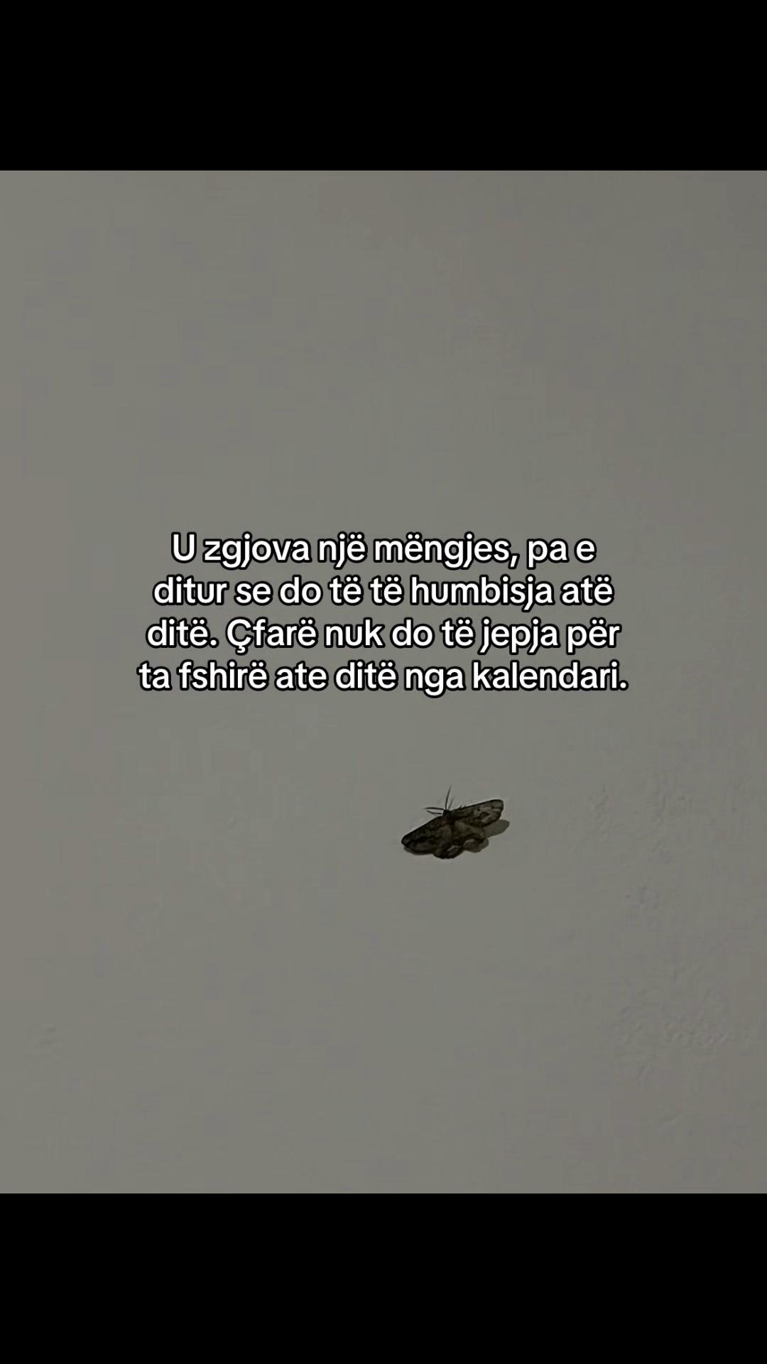 @📜