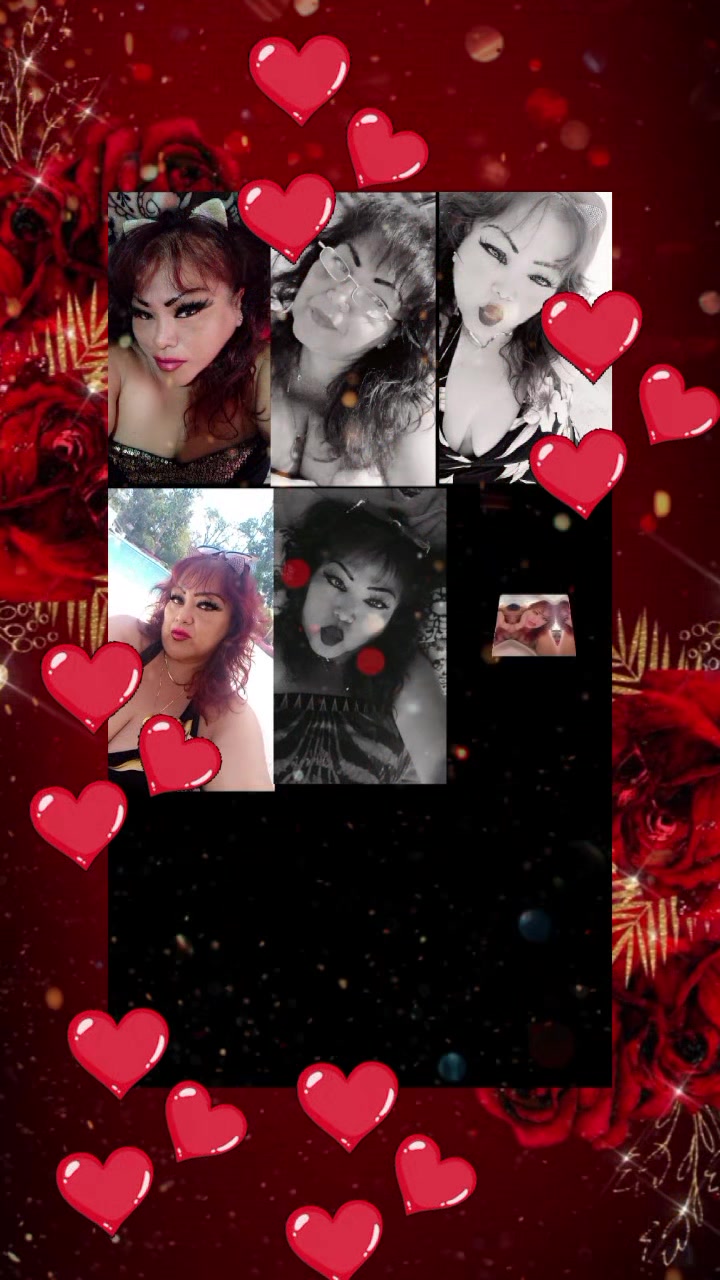 @gatita sexy ๐ป๐