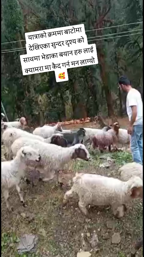 @Sarita Baniya
