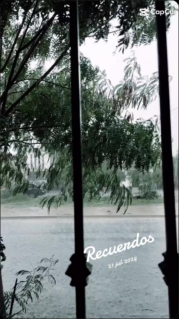 @ABY ortiz