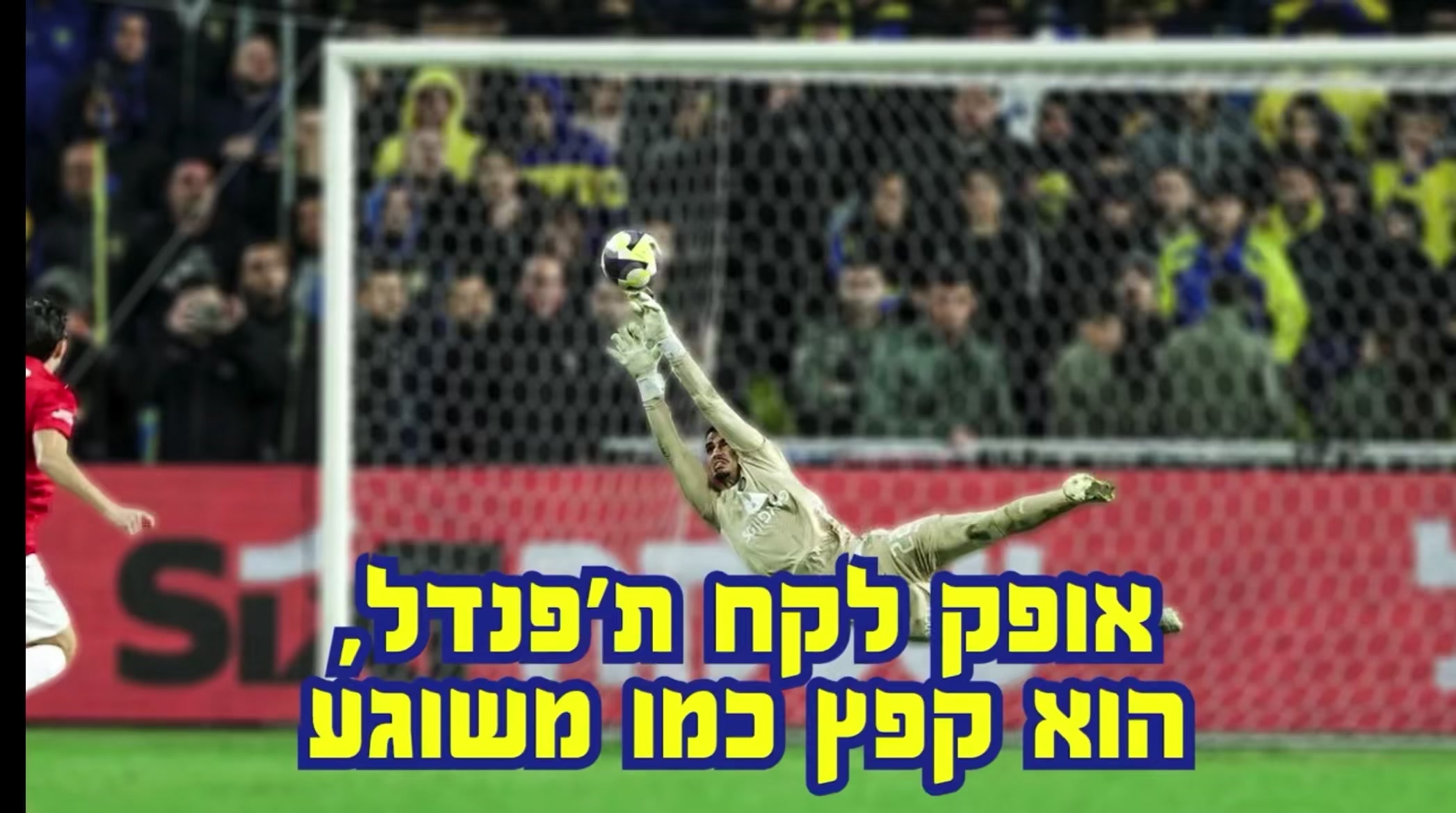 @MACCABI FANATICS