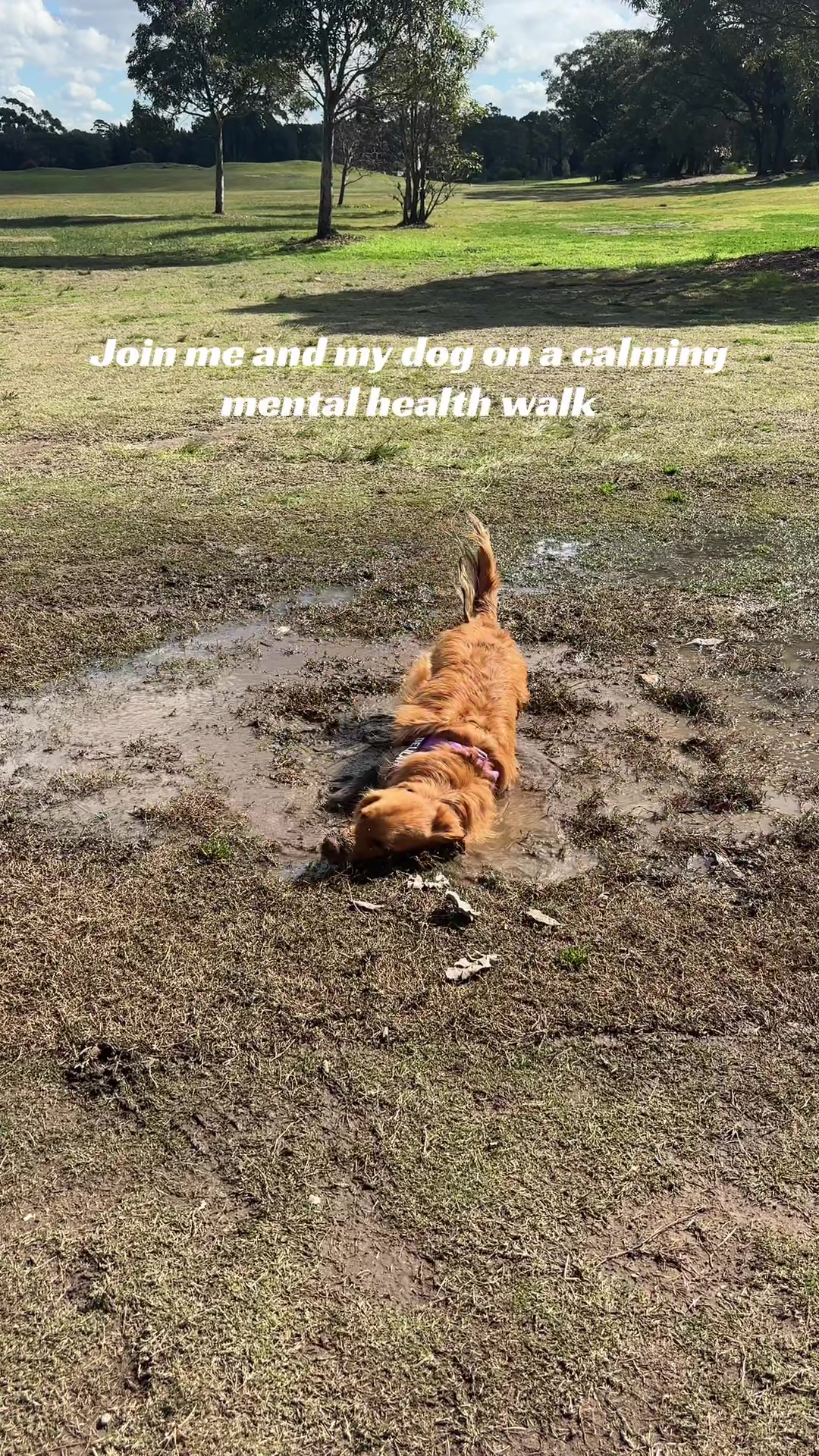 @delilah.thegoldengirl