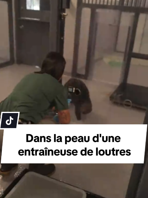 @radio.canada.quebec