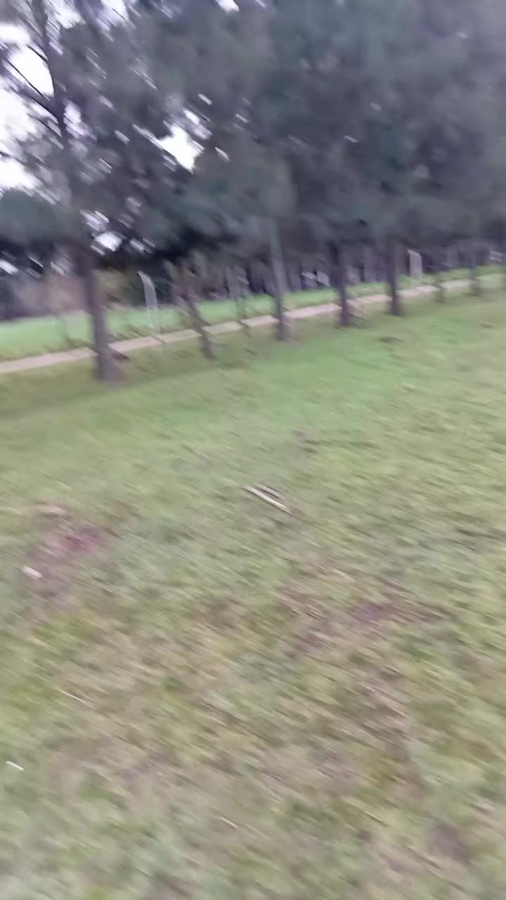 @Emy_Mary🇧🇴🇦🇷🐇🌿