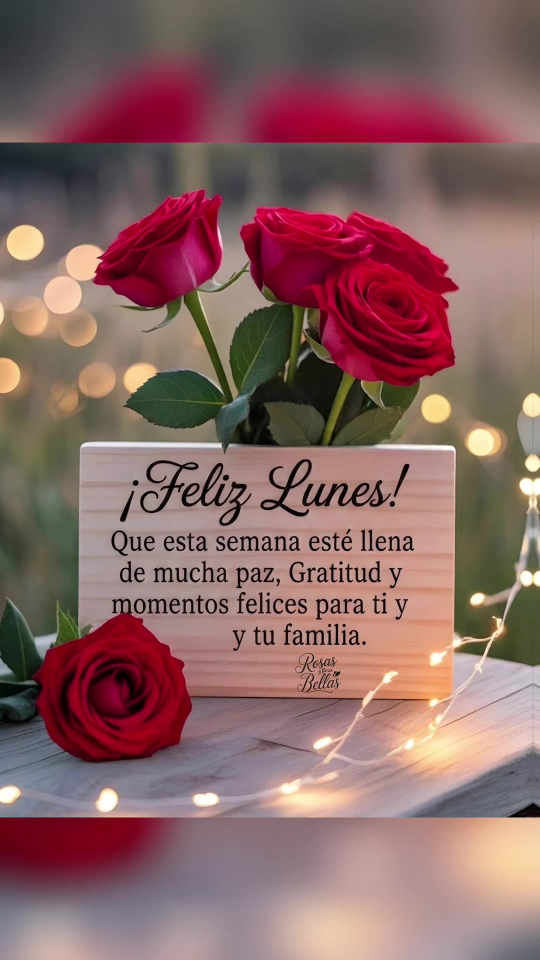 @elvirasvg